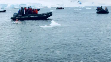Antarktis Stony Point Polar Plunge